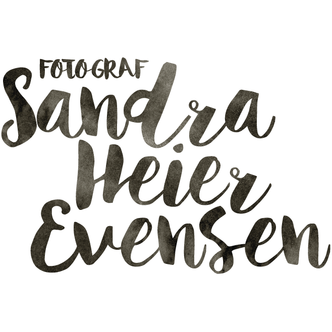 bryllupsfotograf fredrikstad logo